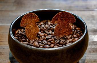 Restaurant Étoilé Vannes · La Tête en l’Air · Notre Univers